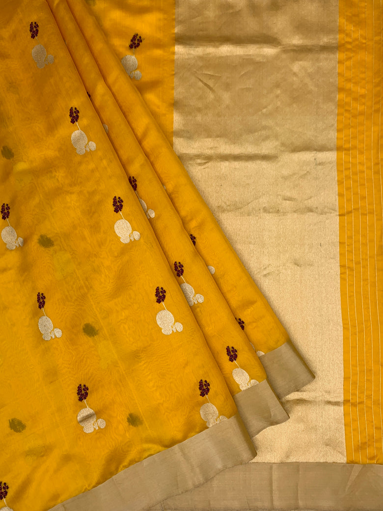 Chanderi Silk Saree Mango-Yellow In Colour