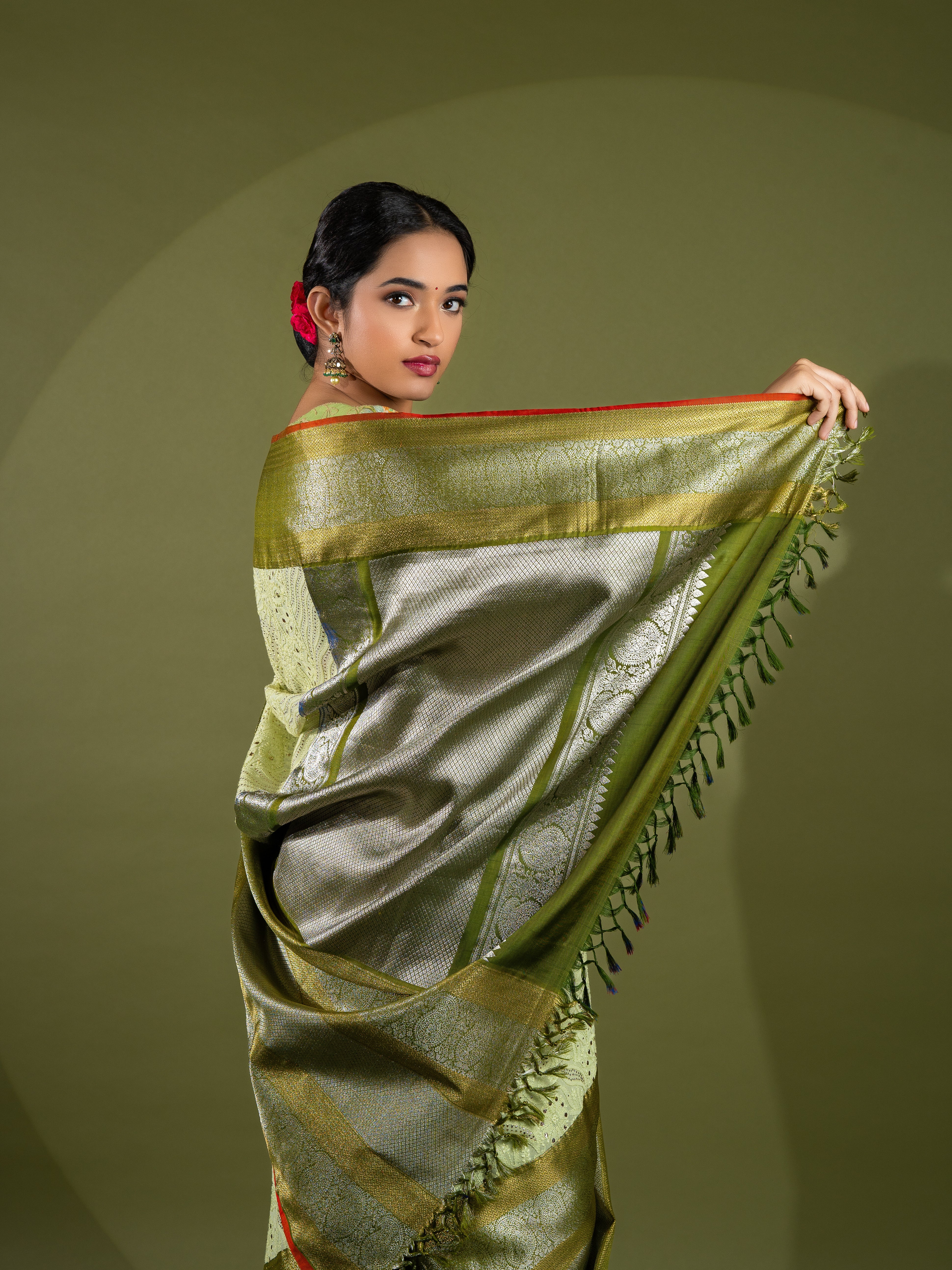 Fusion Saree