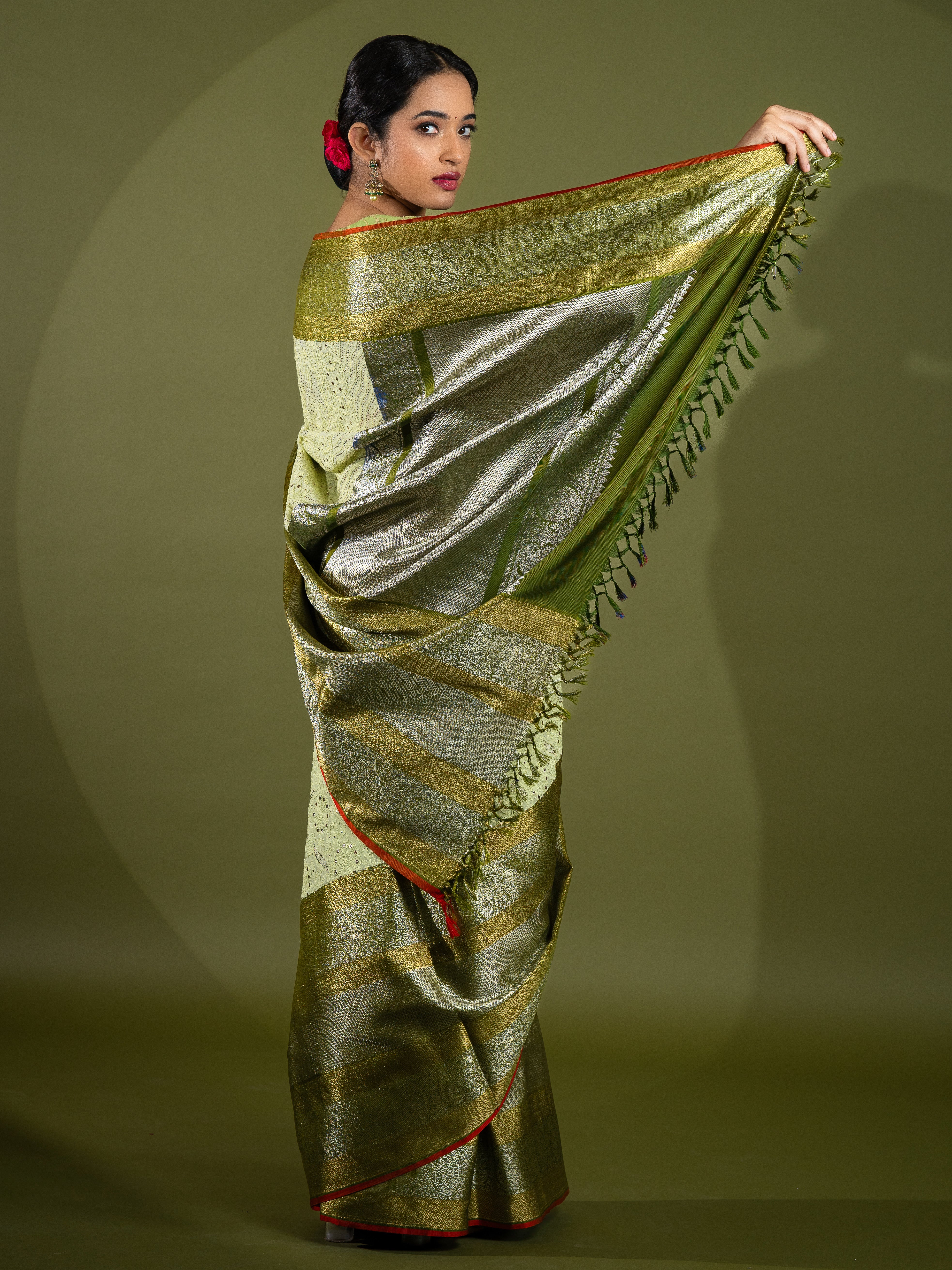 Fusion Saree