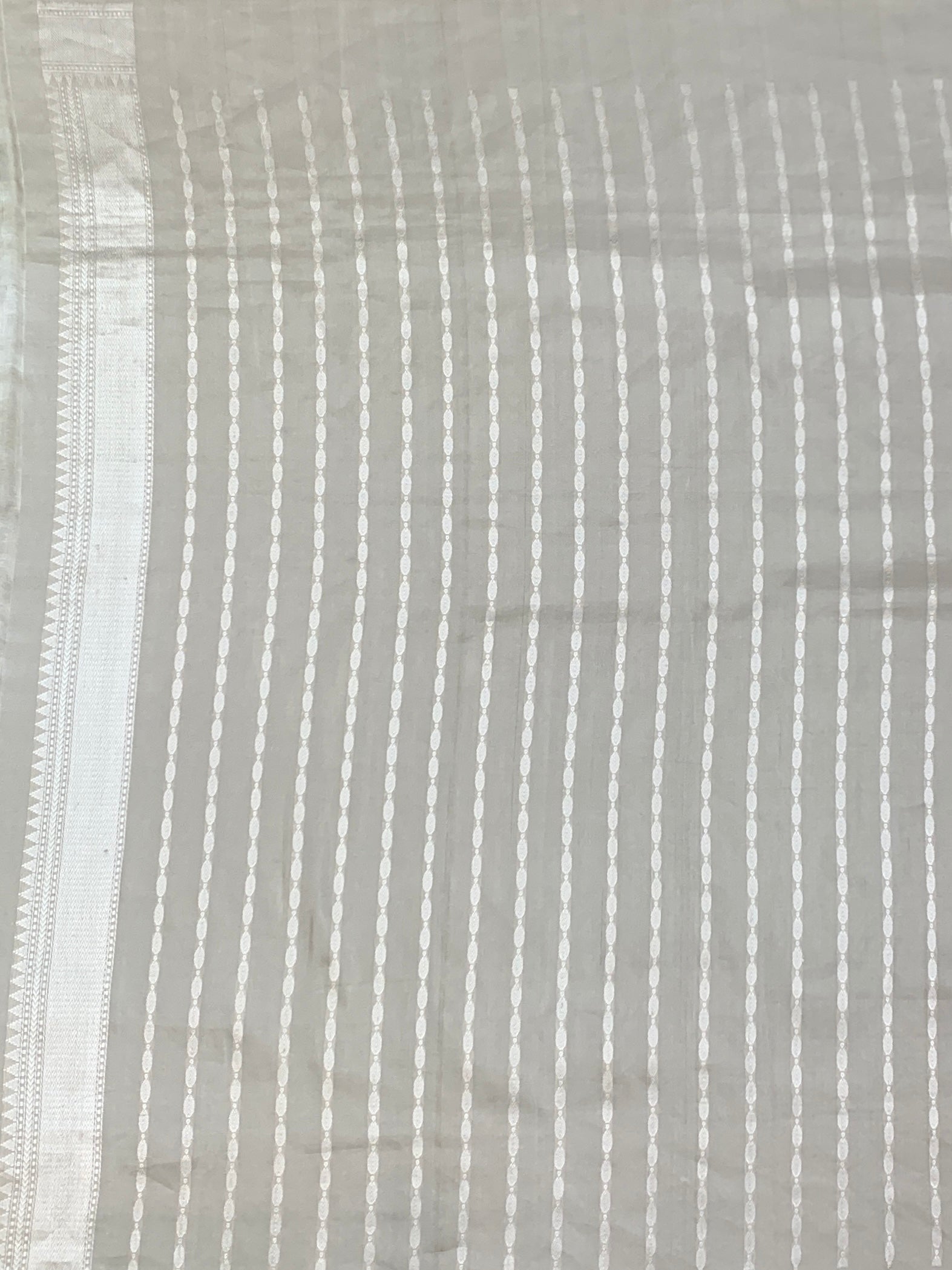 Majestic Wilderness: Fusion Tissue Banarasi Saree with Embroidered Border