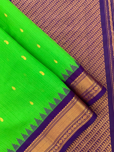 parrot-green