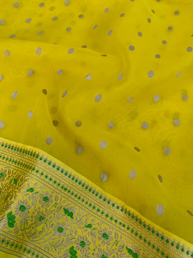 Chanderi Kora Silk Saree Yellow In Colour