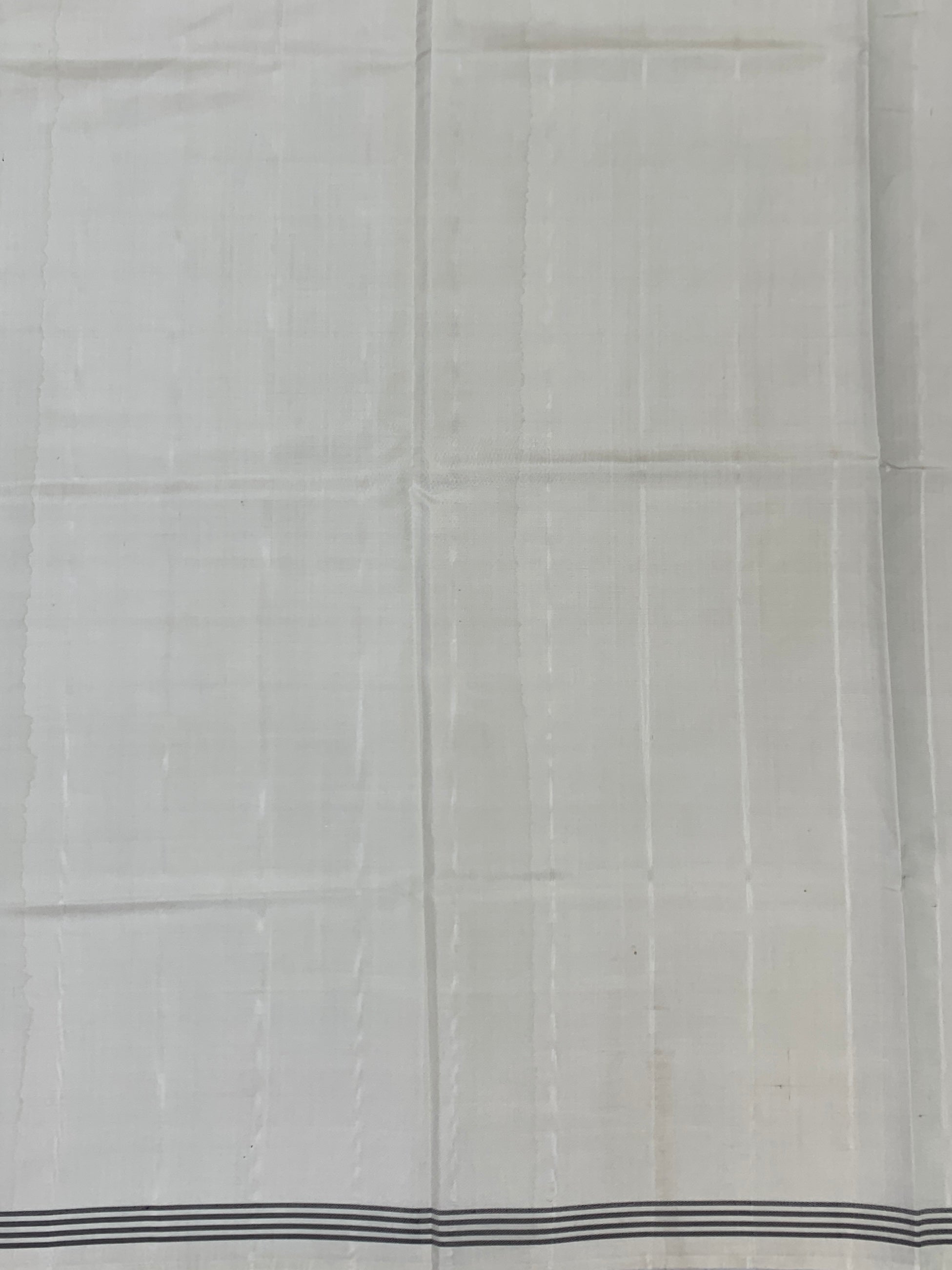 Off-White Handcrafted Patola Silk Saree