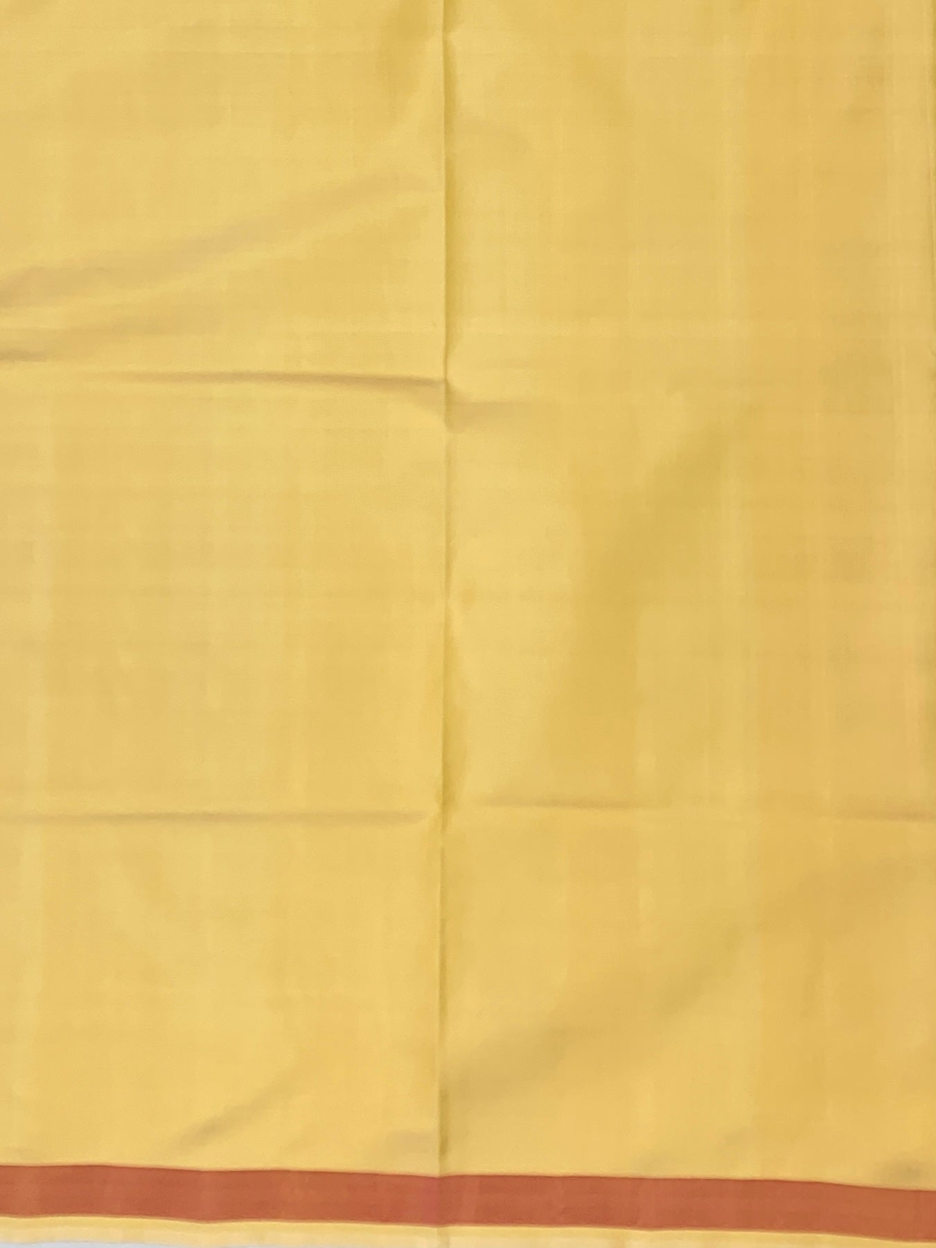 Sky Blue & Mustard Gold Rajkot Patola Silk Saree