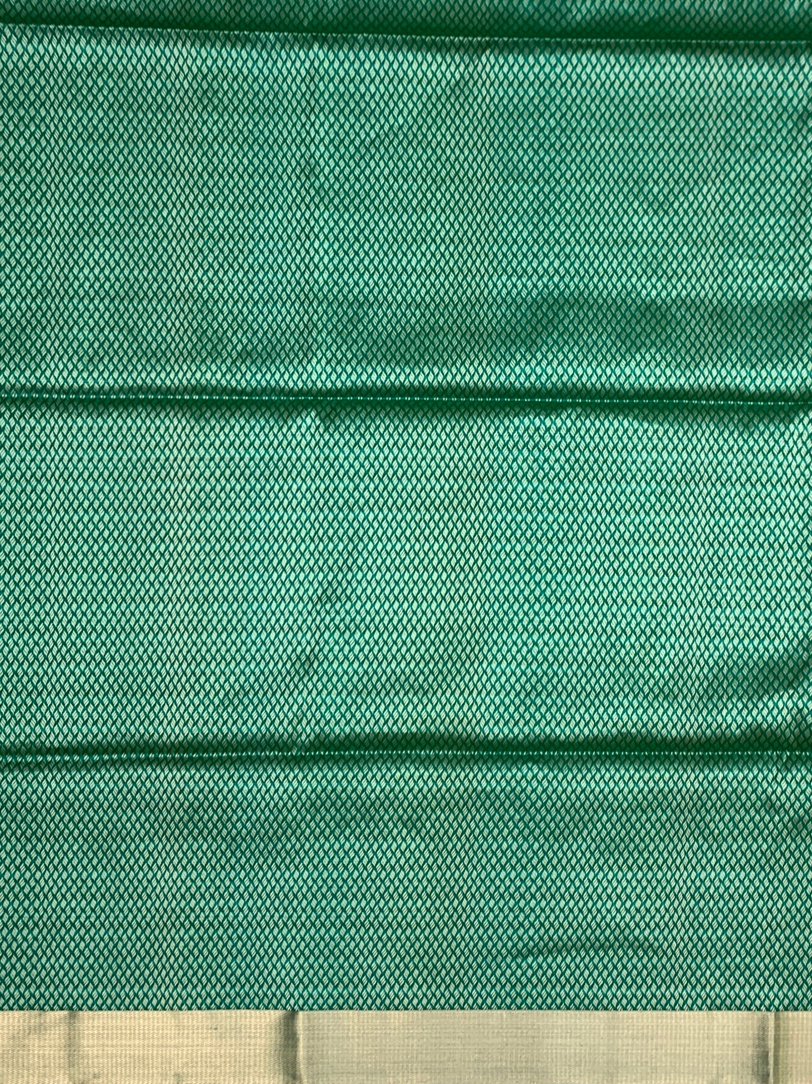 Radiant Light Green & Emerald Soft Silk Saree with Floral Zari Motifs
