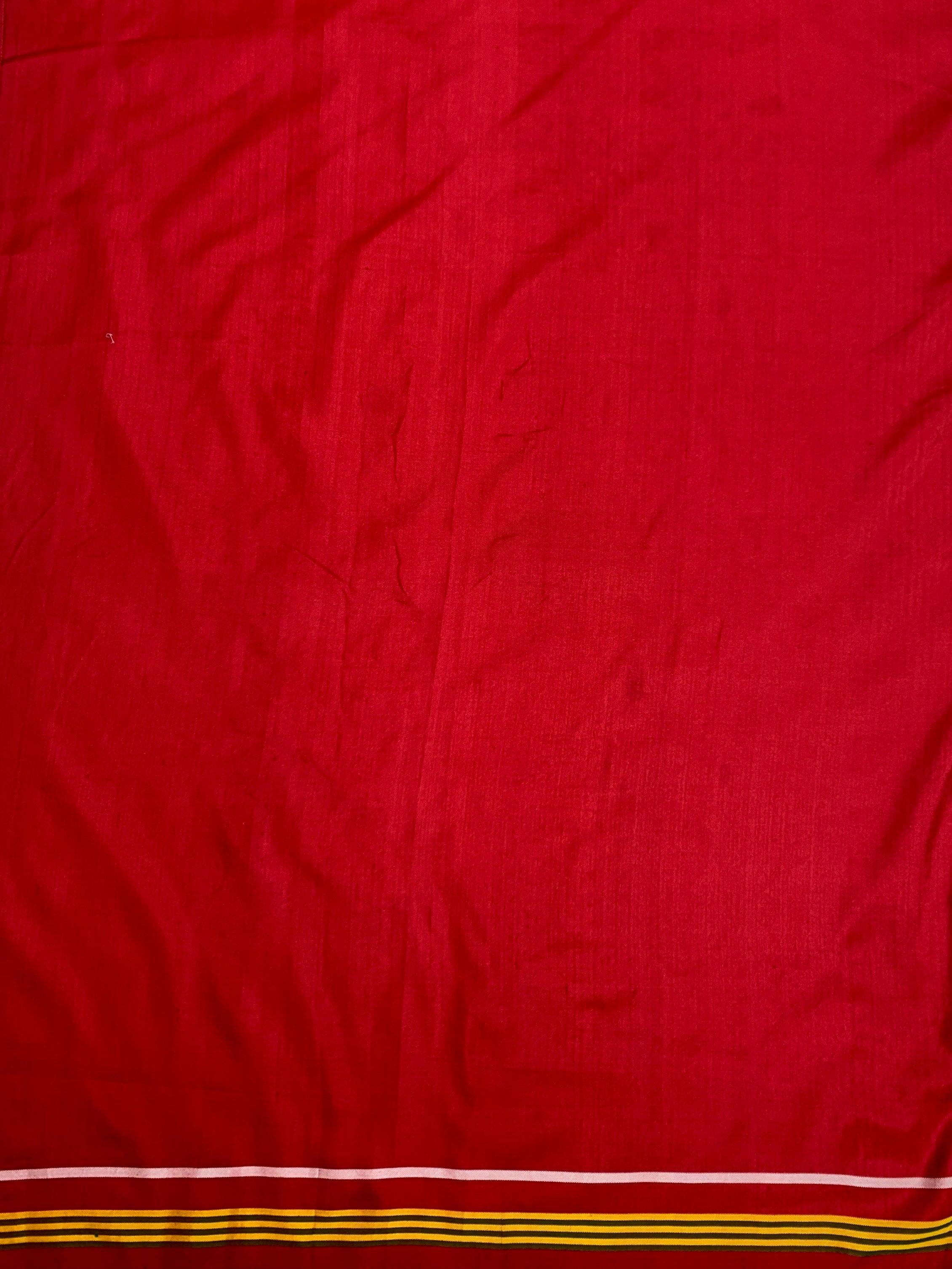 Fusion Patan Patola Chikankari