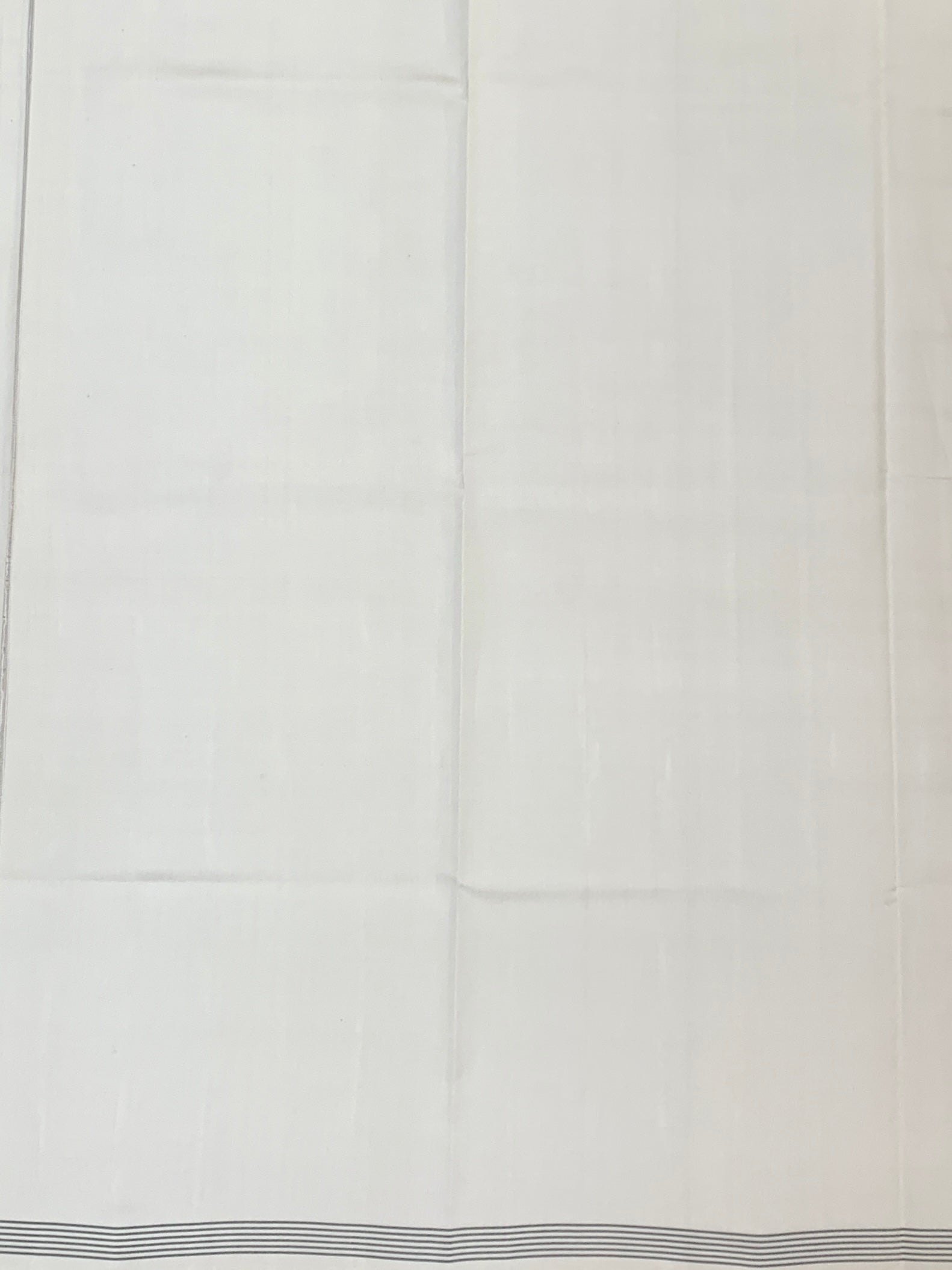 Ivory Handwoven Patola Saree with Vibrant Popat (Parrot) Pallu