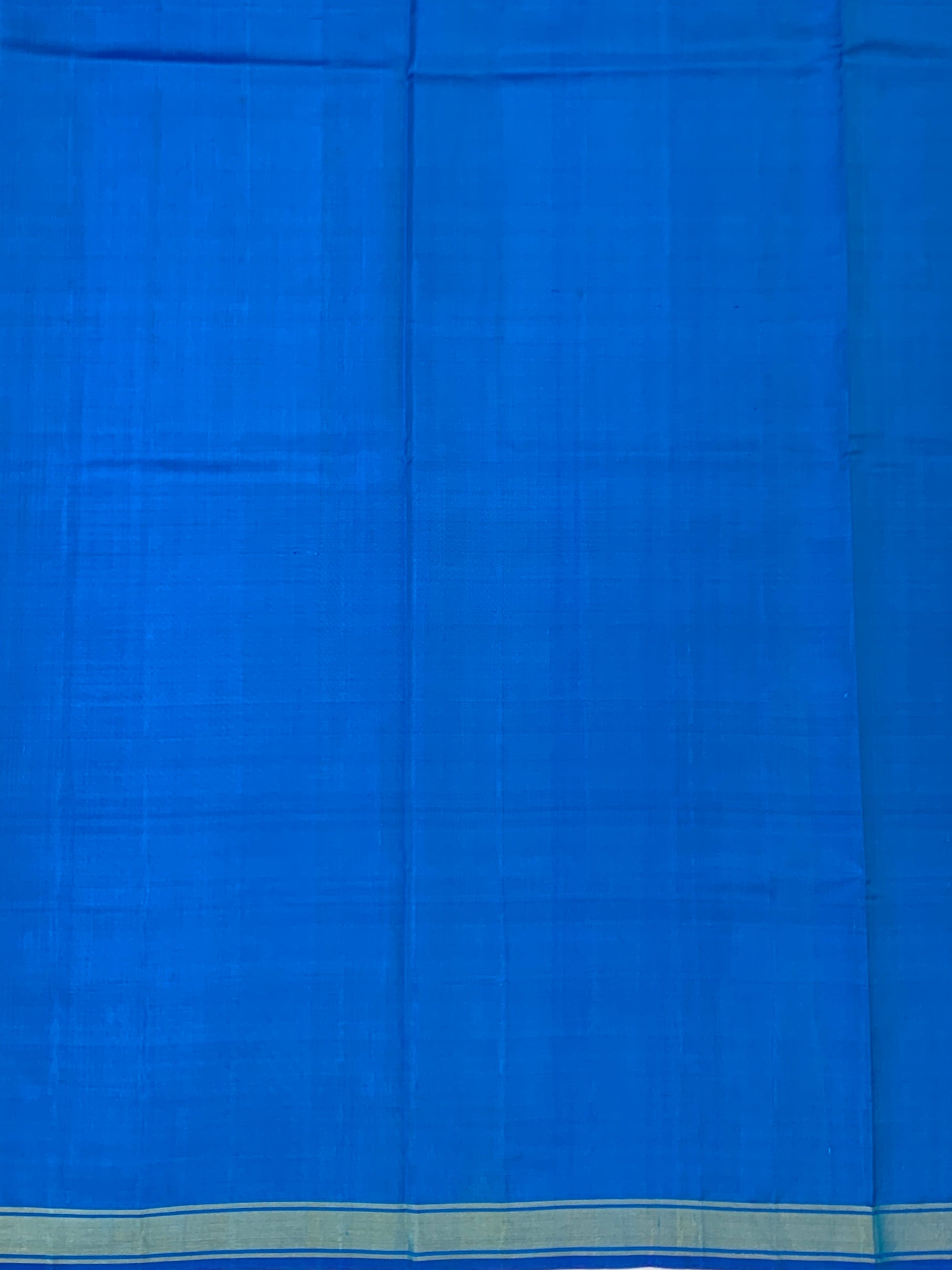Royal Azure & Cobalt Blue: Botanical Ikat Rajkot Patola Silk Saree