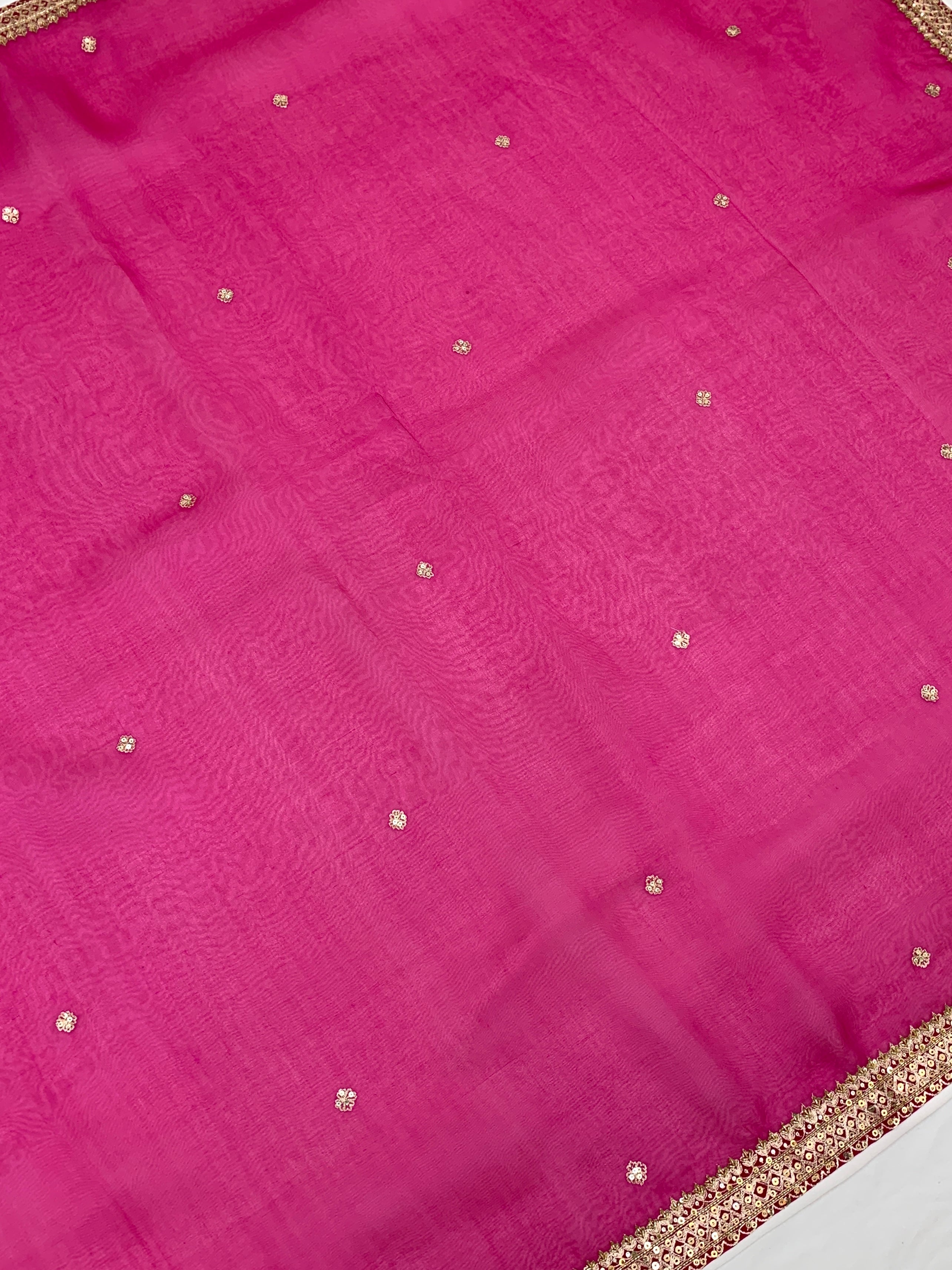 Organza Saree