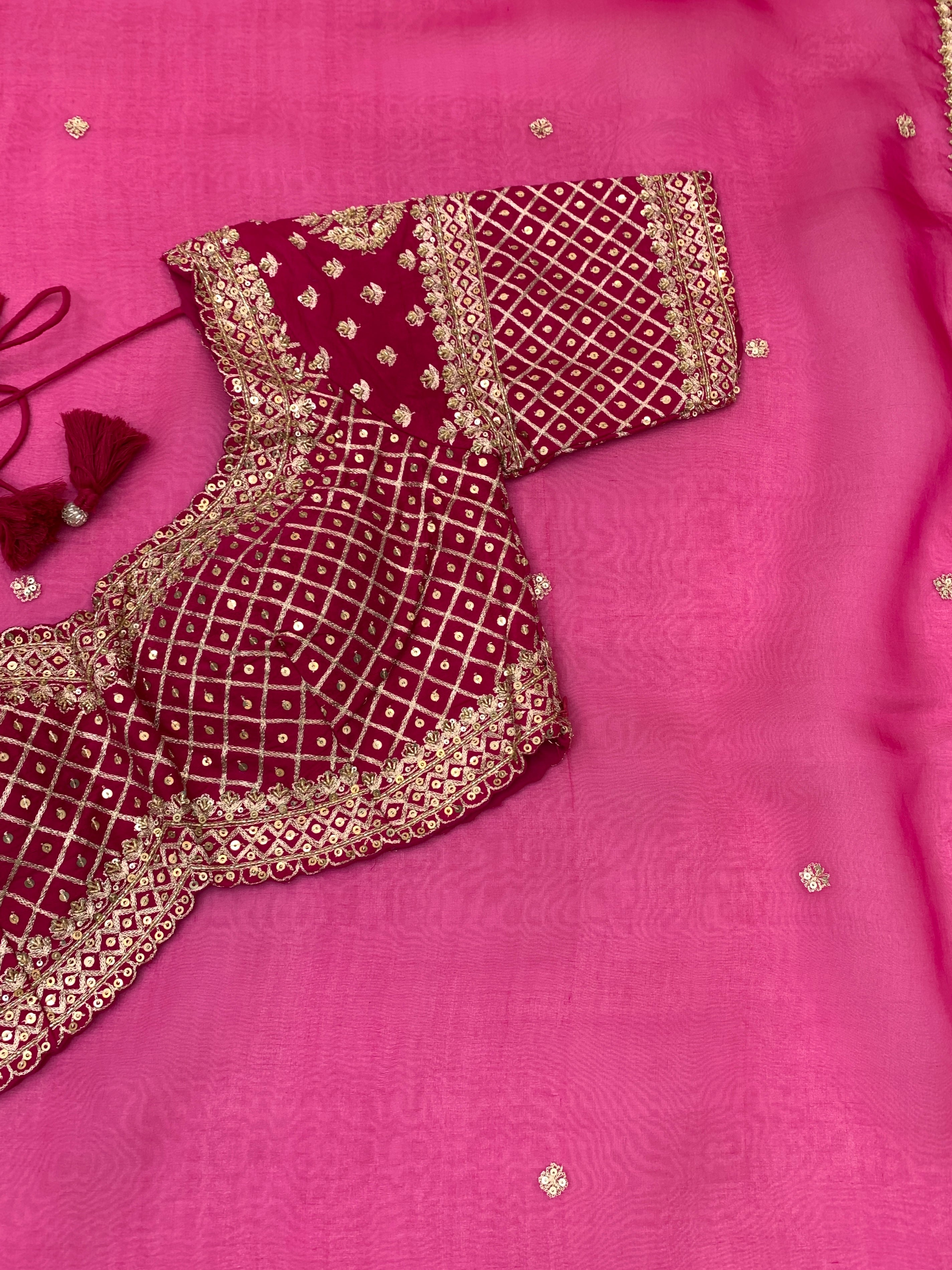 Organza Saree