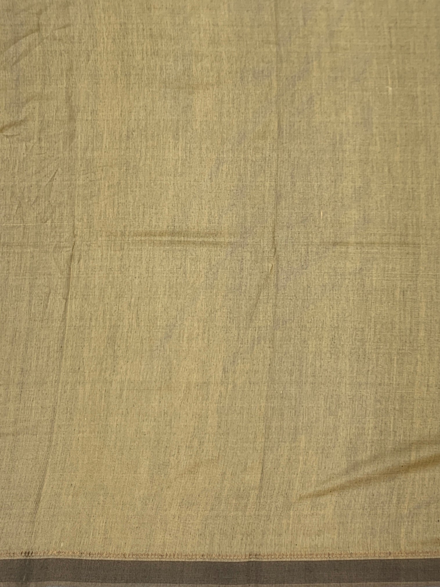 Cream Tussore Saree with Pichwai-Inspired Lotus & Swan Motifs
