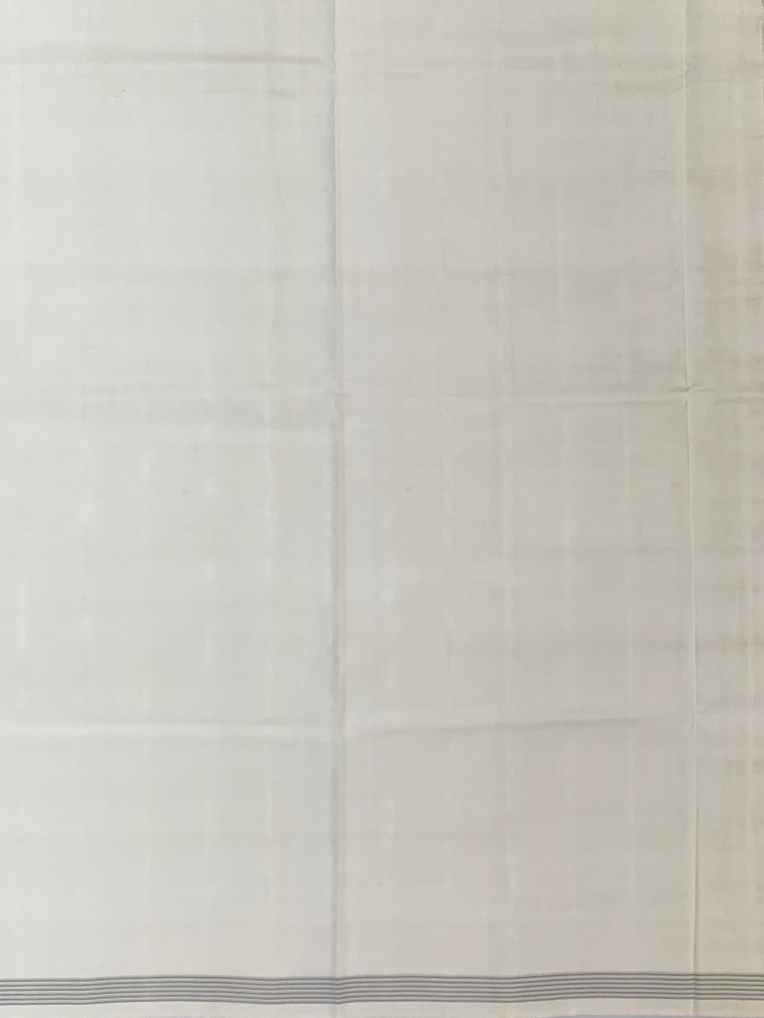 Ivory Chevron Ikat Patola Saree with Scenic Popat Pallu
