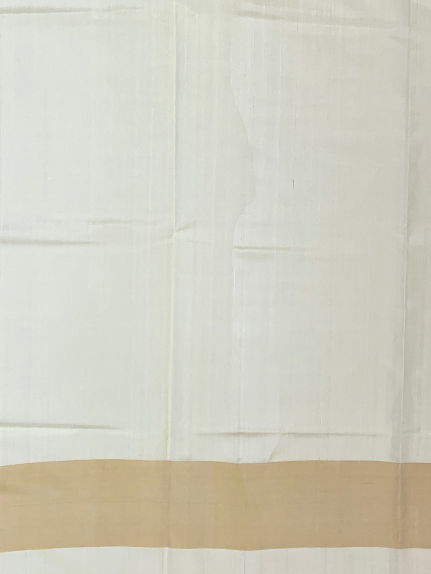 Ivory & Teal Avian Symphony: Heritage Rajkot Patola Silk Saree