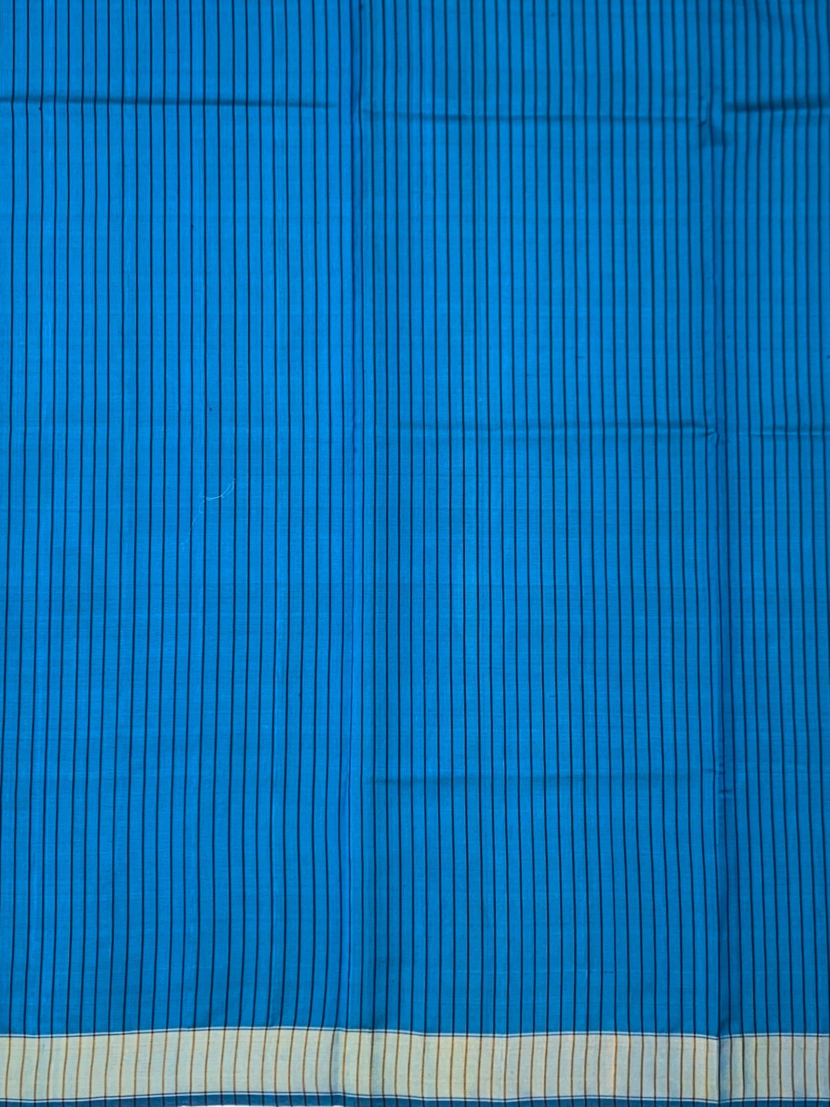 Midnight Charcoal & Electric Blue: Kalka Motif Rajkot Patola Silk Saree