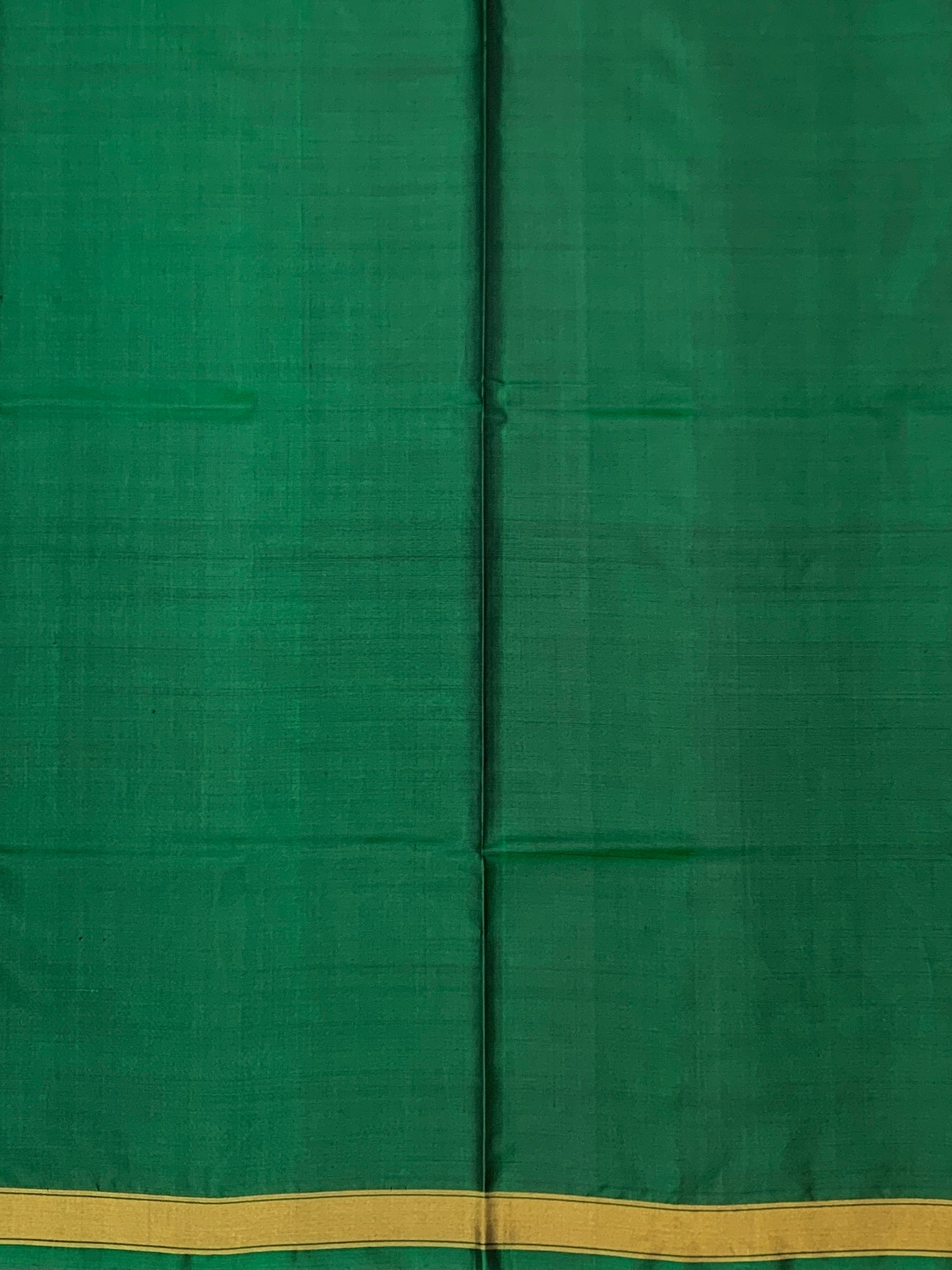 Emerald & Gold Heritage: Geometric Rajkot Patola Silk Saree