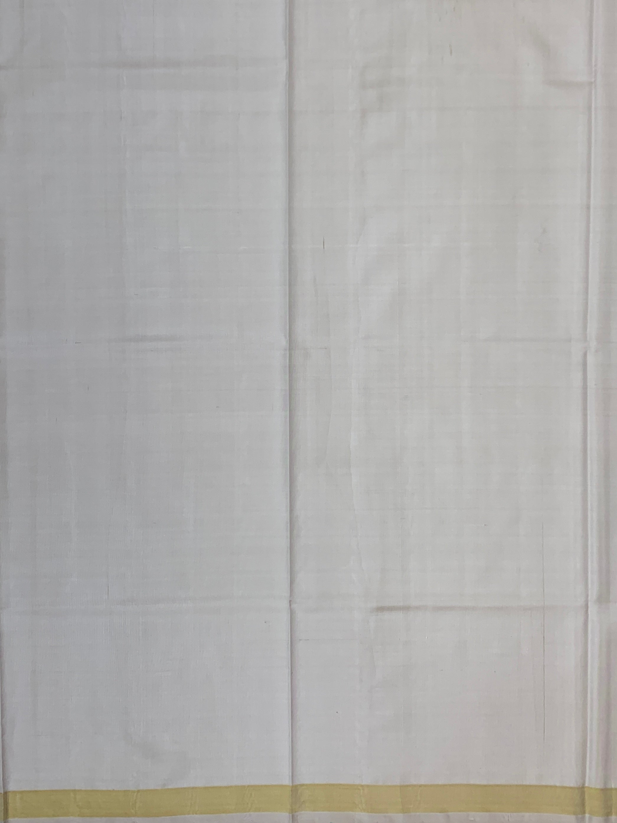 Ethereal Ivory and Pastel Multi Rajkot Patola Silk Saree