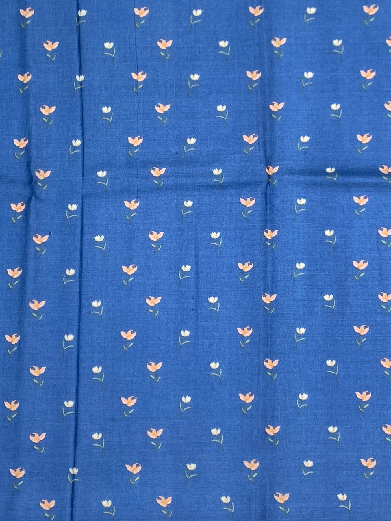 Midnight & Sapphire Botanical Tussore Saree